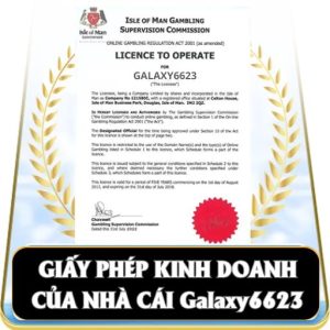 Trang chủ 11 giay phep kinh doanh nha cai galaxy6623